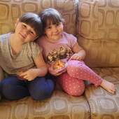 User avatar for Dominique Lavigne