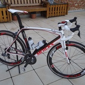 User avatar for Emx525 Marckx