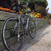 User avatar for Daniel Labrie