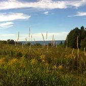 User avatar for Eric Fortin