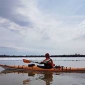 User avatar for Chantal Taillon