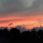 User avatar for Helga Schoonjans