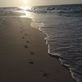 User avatar for Douce Boivin