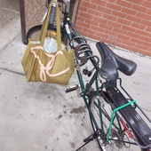 User avatar for Evelyne Bousquet