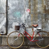 User avatar for Charlotte Yan