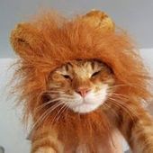 User avatar for Elizabeth Jeffrey