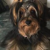 User avatar for Carole Pelletier