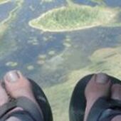 User avatar for David Viens