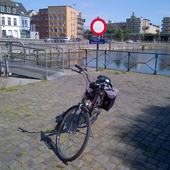 User avatar for Mario Van de Vorst