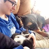 User avatar for Guillaume Laurin