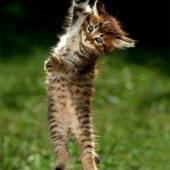 User avatar for Randy Sears