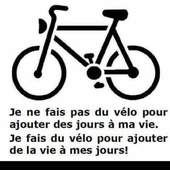 User avatar for Catherine Girard