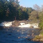 User avatar for Fethi Fethi