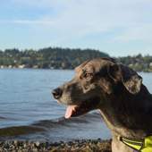 User avatar for James Roubal