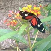 User avatar for Éric Le Chasseur