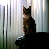 User avatar for Rik Eerdekens