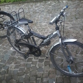 User avatar for Matteo Callebaut