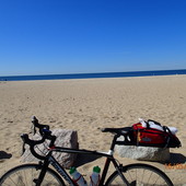 User avatar for Carole Aubin