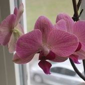 User avatar for Karolien Rottiers