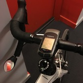 User avatar for Elaine Champagne