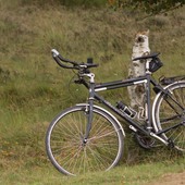 User avatar for Don Westerheijden