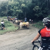 User avatar for Ghislain Boisvert