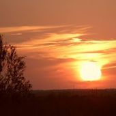 User avatar for Stefan Truyens