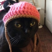 User avatar for Elijah Smith