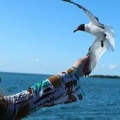 User avatar for Bahija Tachefini