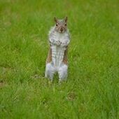 User avatar for Annie Laplante