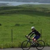 User avatar for Lisa Fischer Wade