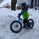 User avatar for Cynthia Wilcott