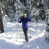 User avatar for Dawn Sykora