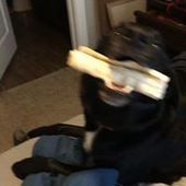 User avatar for Brad Lose