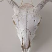 User avatar for Rebecca Wilkinson