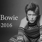 User avatar for Jan Mos