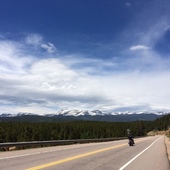 User avatar for Frank Soree