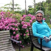 User avatar for Greet Annemans