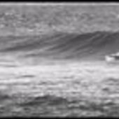 User avatar for Steve Griggs