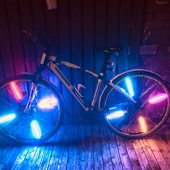 User avatar for Gavin Wolfe