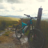 User avatar for Neil Raven