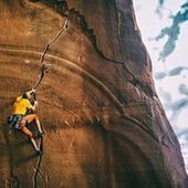 User avatar for Justin Menestrina