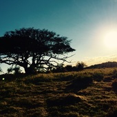 User avatar for Jaco Pols