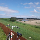 User avatar for Inge Holtrop