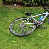 User avatar for Evelien Boogaerts