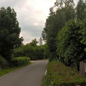 User avatar for Thomas Burger