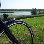 User avatar for Sylvia Cornelissen