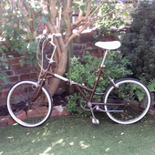 User avatar for Kirsten  Larsen