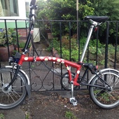 User avatar for Alice Carey