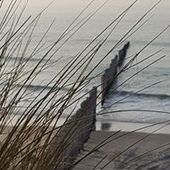 User avatar for Lori Thoelen